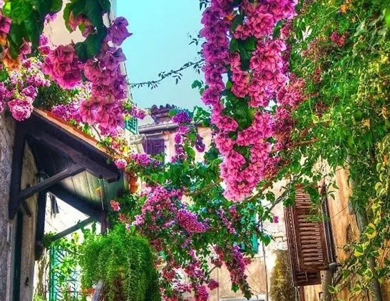 �п����������ز�Ʒ��