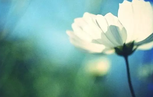 ������£�Ͷ�ʴ���