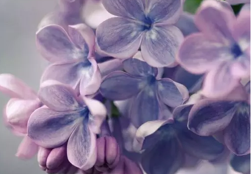 ���ϻ�ͯ�������