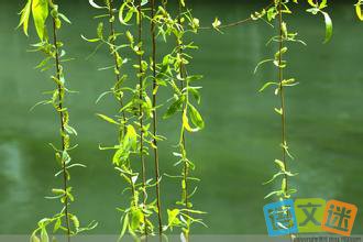 �����п������زģ������Ĺ�ʫ