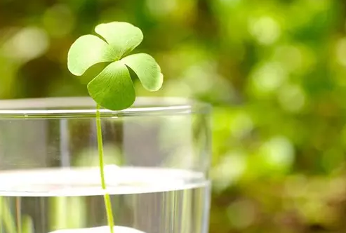 ��ѡ3����������