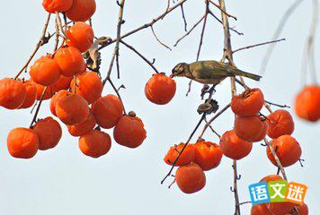 �������£����øж�