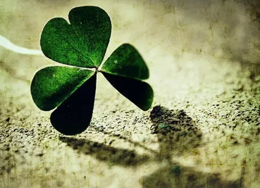 �߿��²������ģ��Ͳ�Ա