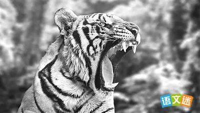 �߿����������زģ���η����