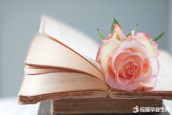 ����������йصĳ������