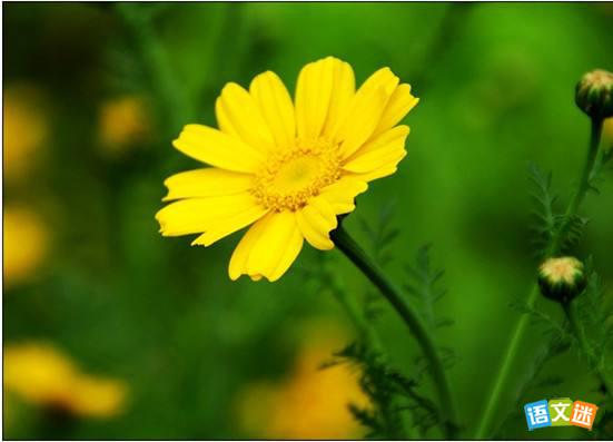 �߿������ز�֮��г