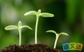 �������£������Ͷ��