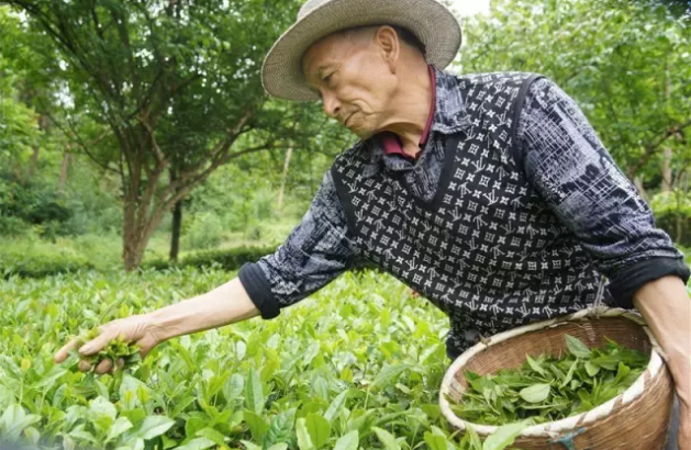 ����ӽ������һ���Ľ���