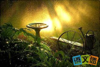 且慢下手的哲理故事