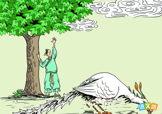 ������´�ȫ���ֳ���