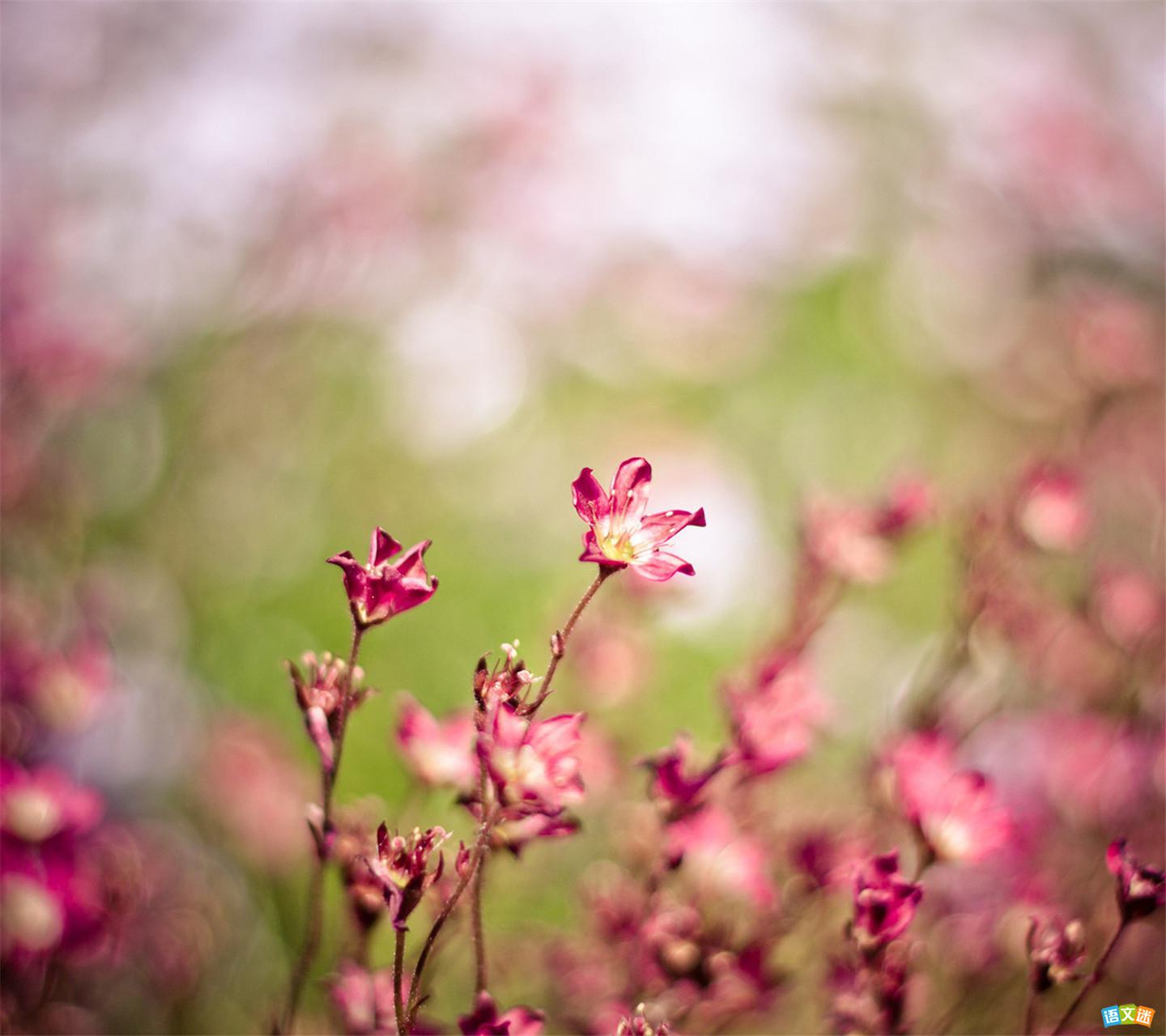 �йصȴ��������ز�