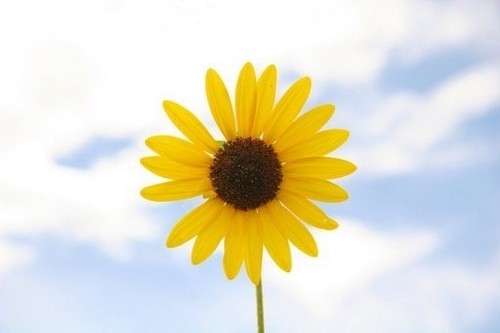 人生的经典哲理故事