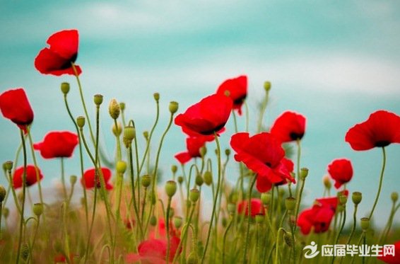 �߿��زĻ��ۣ��������������