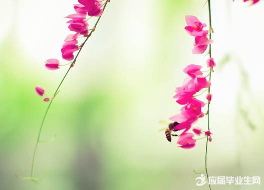 �߿��زĻ��ۣ��������������