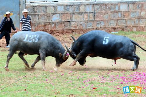 ��կţ���Ĵ������