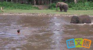 2017�п��ȵ��زģ�̩��С�����