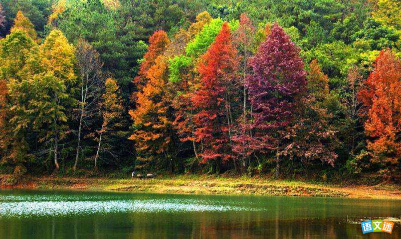 新材料作文素材:人生三重境界
