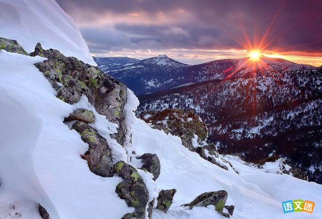 2017�п����ֲ��������ز�