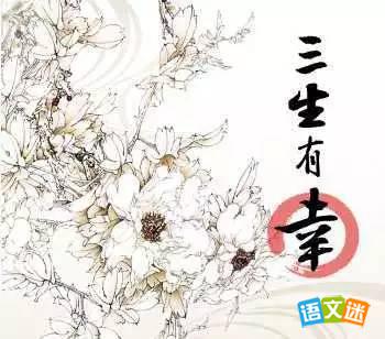 三生有幸的故事