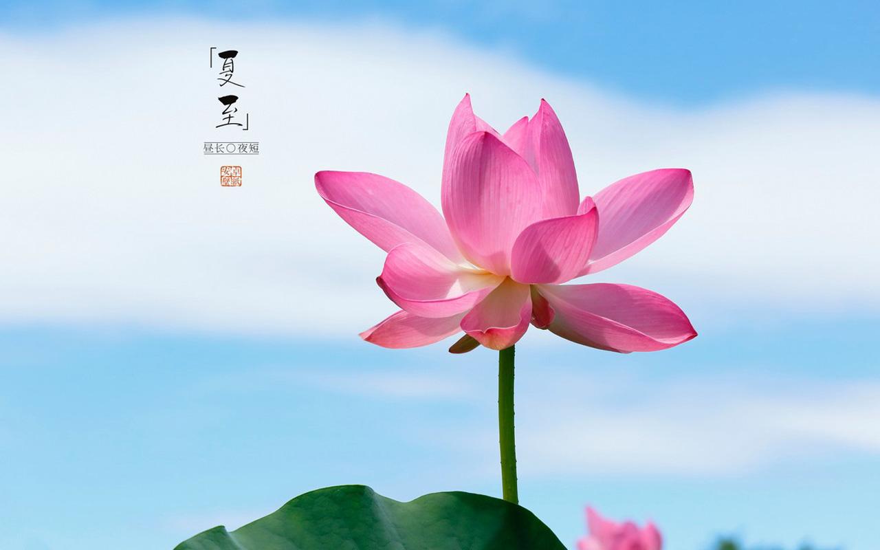 关于春分夏至秋分冬至详解 关于春分夏至秋分冬至详解