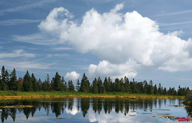 ����д����������ժ��