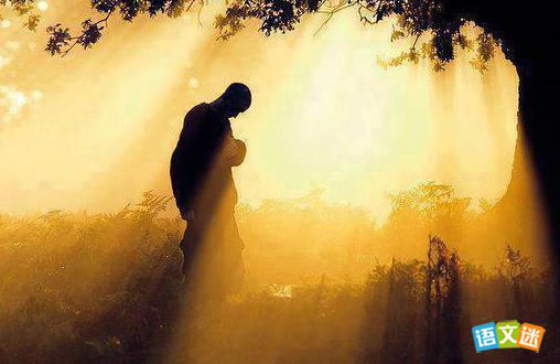 2017���п������ز�����ƪ