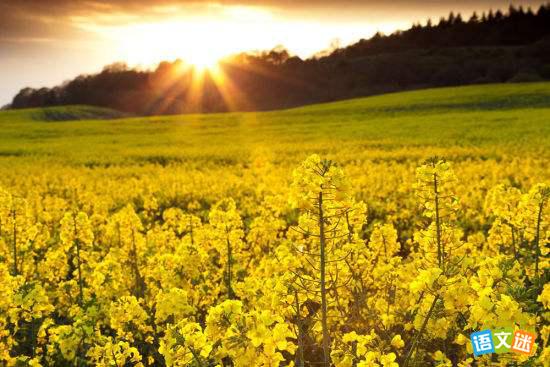 �������Ϲ���֮��Ը