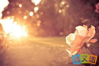 ��Ҫ�����Ҹ�����������