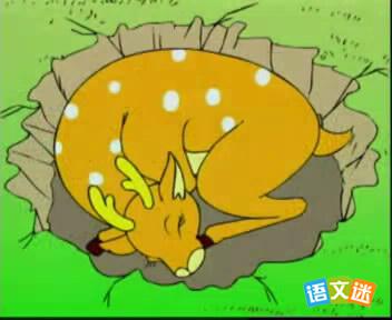 ��¹���۵ĳ������