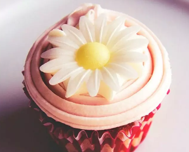 ���������ĳ������