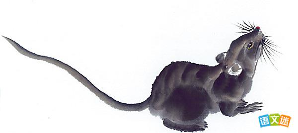 ��Ь����С����Ĺ���