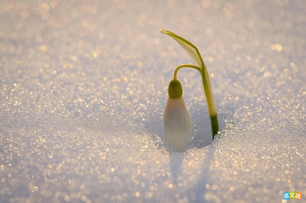 2017�߿�д���زģ���˽�Ĵ���