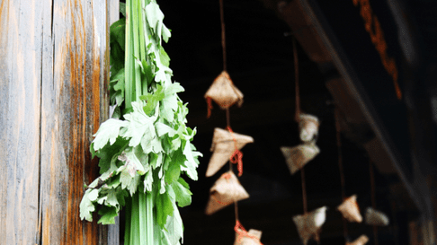 �߿������ȵ��زģ�����ϧ��ͳ�Ļ�