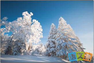 �������£�������ѩ��