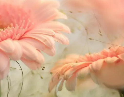 �п�������д���زģ��澳