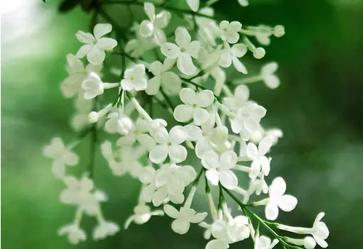 ���������������