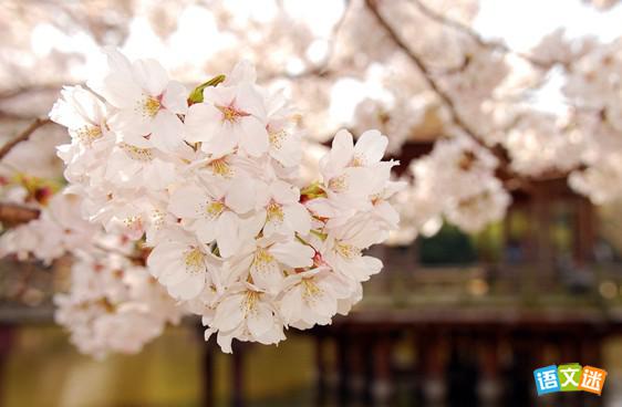 �йؼ��ɵ������زģ��ؼ͵��ձ���