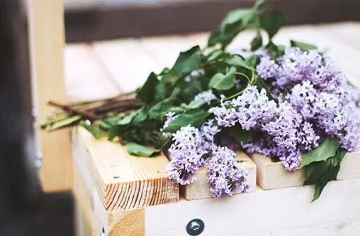 ���Կ�η�������