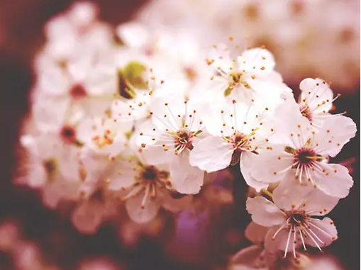 ������£�������ʤ