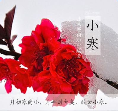 2016С����������ϰ�ס����ܡ�