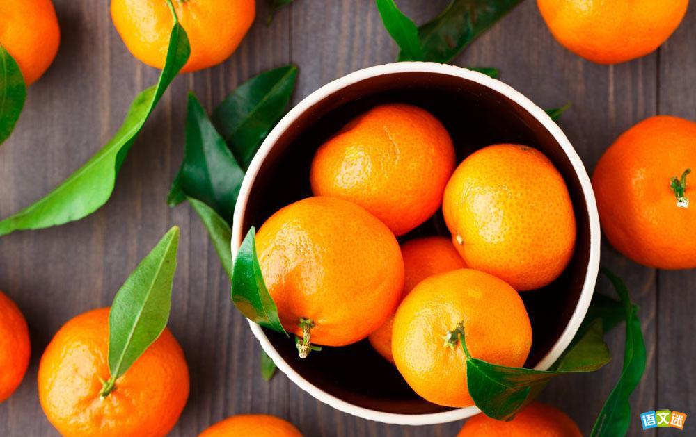 �й�����̬�ȵĸ߿��ز�:��������