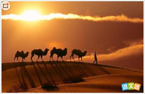 �߿������زģ�����˿��֮·�ľ���