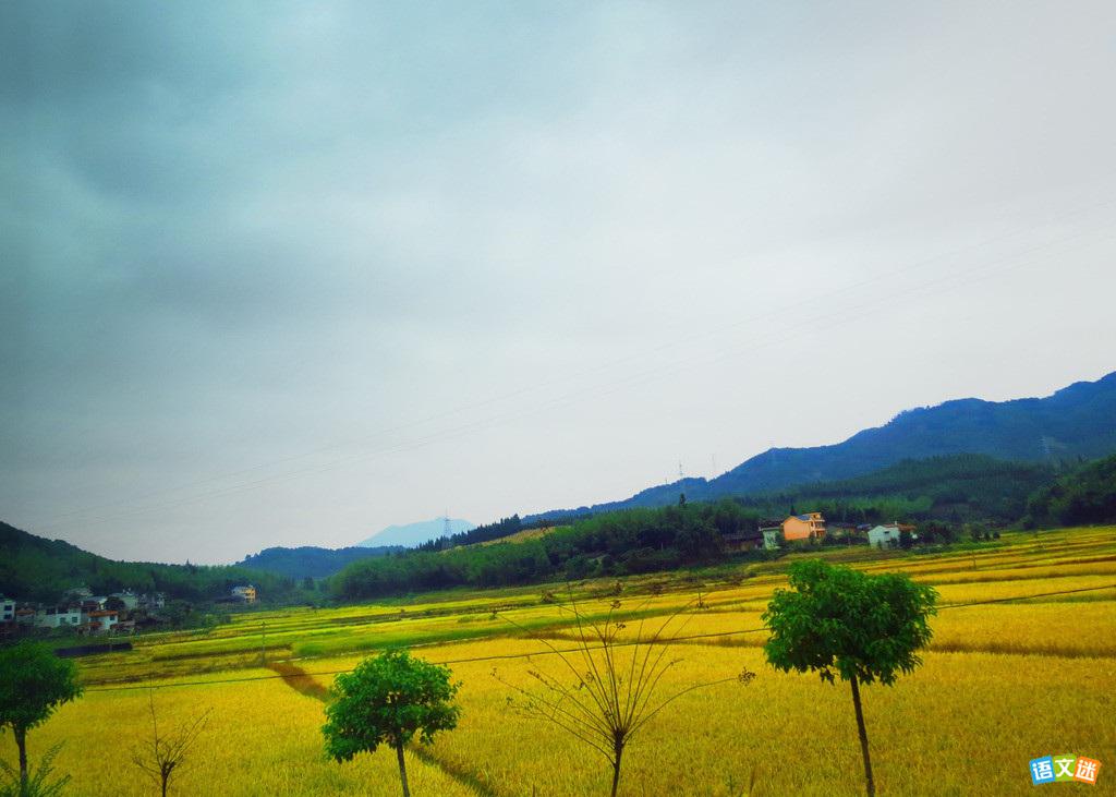 �߿���ɫ��д�����زľ�ѡ