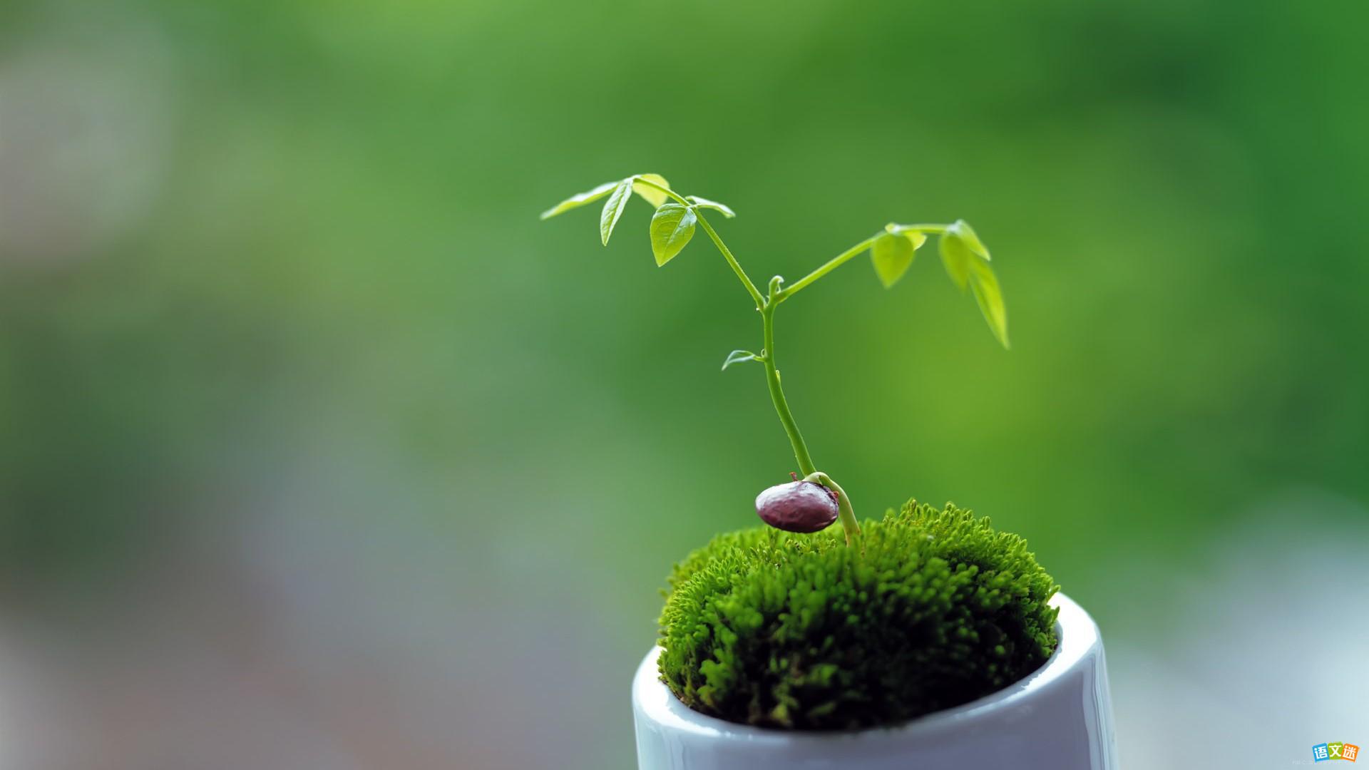 哲理小故事:你把苦难放在哪里