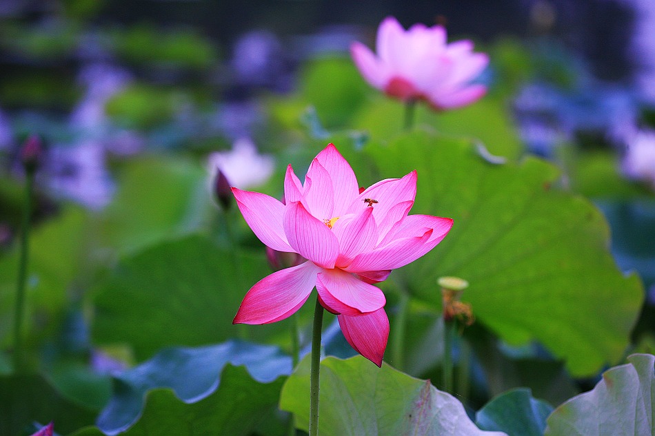 �л��ֵĺôʺþ�ö�