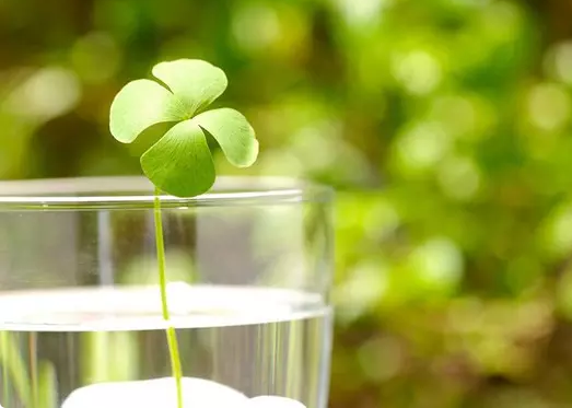 211500617183597199df1ce47890955.png 高考写作素材:民间工艺