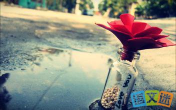 ���뾲����������