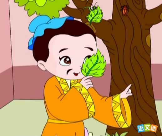 һҶ��Ŀ�ĳ������