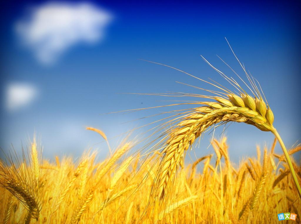 �л���������زģ�ǫ��