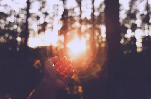 ������־���£���ӥСʱ��Ҳ�в���